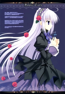 Page 6 of FLOWER TIARA