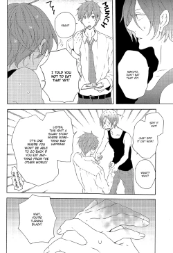 Page 17 of Orcinus Oruca