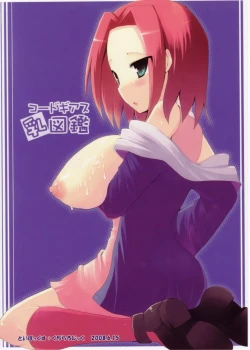 Page 20 of Code Geass Chichi Zukan