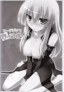 Page 3 of Code Geass Chichi Zukan