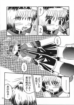Page 12 of Misaka Team