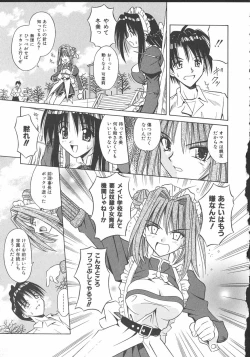 Page 40 of Palladium Garden