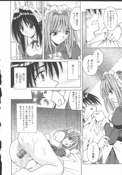 Page 41 of Palladium Garden