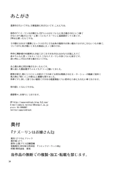 Page 33 of Nazrin wa Oyomesan 2