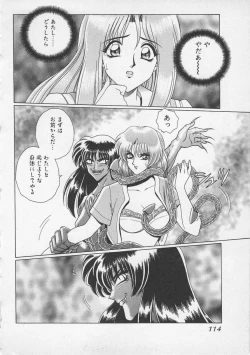 Page 117 of Wakakusa Bishoujotai vol.3