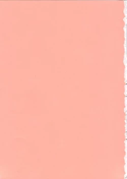 Page 3 of GR <Orange>