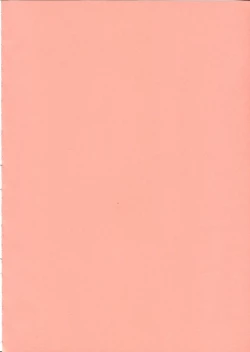 Page 4 of GR <Orange>