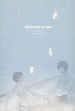 Page 2 of Wondering up and down