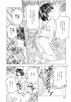 Page 41 of Shunshou Ikkoku