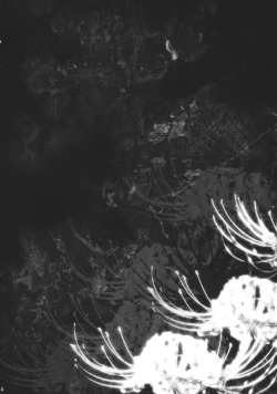 Page 3 of My Dear Bunny