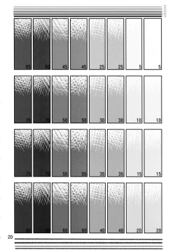 Page 19 of Mayoi Neko no Onayami Shinro Suoudan