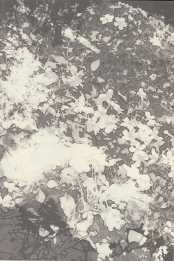 Page 4 of Mizu no Kokoro