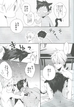 Page 15 of Kimi to Nekomimi