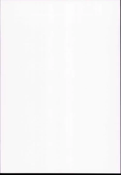 Page 2 of HOW TO BUILD NIKUBENKI