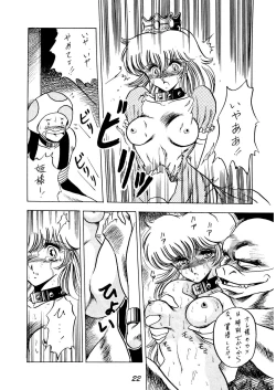 Page 22 of Necura Nomicon VOL.4