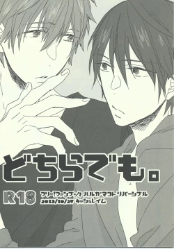 Page 1 of Dochira Demo.