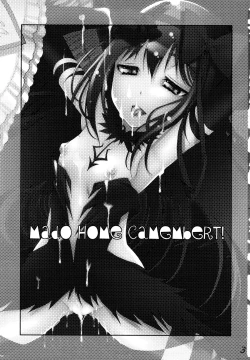 Page 3 of MadoHomu Camembert