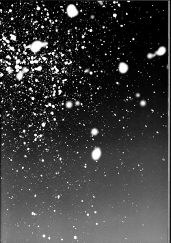 Page 24 of Haru mo Natsu mo Aki mo Fuyu mo