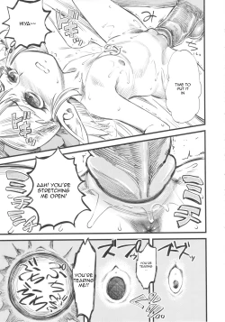 Page 12 of Hi-Per Gurentai