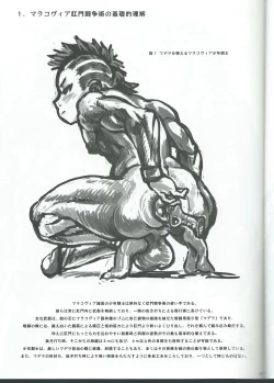Page 4 of マラコヴィア肛門闘争術概要 マラコヴィア少年肛門闘士の土俗的奇習について