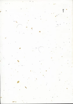 Page 43 of Cowaremono