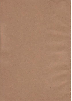 Page 2 of Student Council