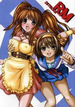 Page 1 of 2STROKE RM