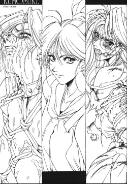 Page 4 of SEXCEED Ver 4.1