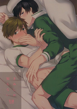 Download Kimi shika Shiranai