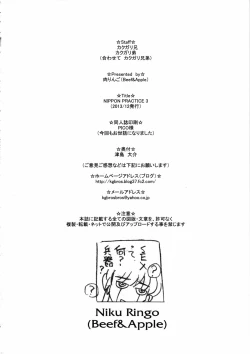 Page 25 of NIPPON PRACTICE 3