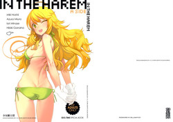 Download IN THE HAREM A SIDE