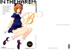 Page 1 of IN THE HAREM B SIDE