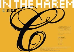 Page 2 of IN THE HAREM C SIDE