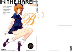 Download IN THE HAREM B SIDE