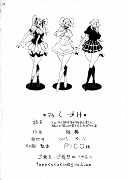 Page 29 of Tonikaku Suki Chara wo Hitasura ni Kaite Kaite Kakimakutta dake no Hon