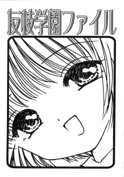 Page 2 of Tomoeda Gakuen File 2