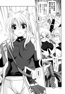 Page 11 of Wonderful Fox