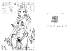 Page 1 of HOW TO BUILD COCK