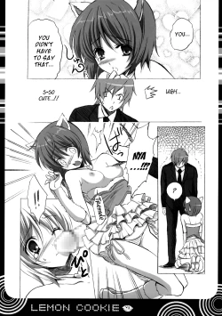 Page 3 of Lemon cookie