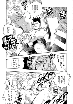 Page 17 of RENGE Ver.SAKURA