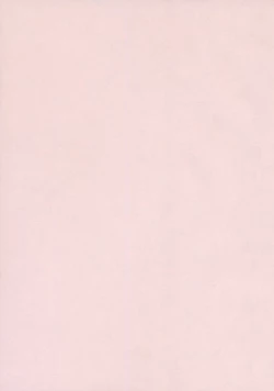 Page 4 of Youjutsushi