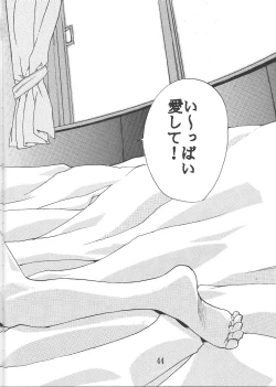 Page 43 of SYNCHROCORD 2