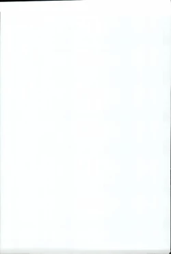 Page 43 of Tenimuhou Gaiden