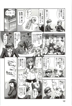 Page 13 of Anekko Harem