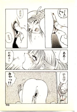 Page 116 of Seiken Cinderella