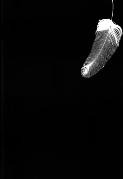 Page 2 of Icarus ga nishi no hate