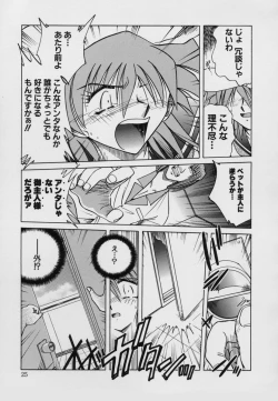 Page 27 of Kinbaku Choukyou