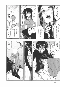 Page 228 of Famicon.