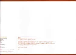 Page 17 of FIREPLACE