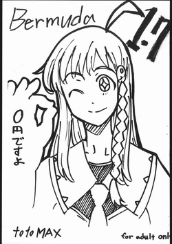 Download Bermuda 1.7